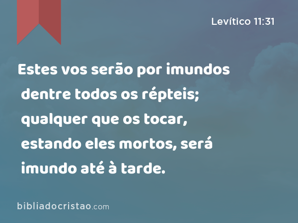 Estes vos serão por imundos dentre todos os répteis; qualquer que os tocar, estando eles mortos, será imundo até à tarde. - Levítico 11:31