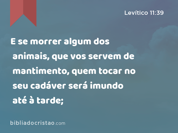 E se morrer algum dos animais, que vos servem de mantimento, quem tocar no seu cadáver será imundo até à tarde; - Levítico 11:39