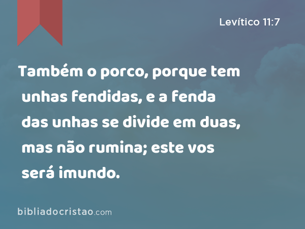 Também o porco, porque tem unhas fendidas, e a fenda das unhas se divide em duas, mas não rumina; este vos será imundo. - Levítico 11:7