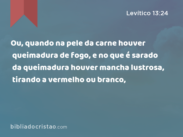 Ou, quando na pele da carne houver queimadura de fogo, e no que é sarado da queimadura houver mancha lustrosa, tirando a vermelho ou branco, - Levítico 13:24