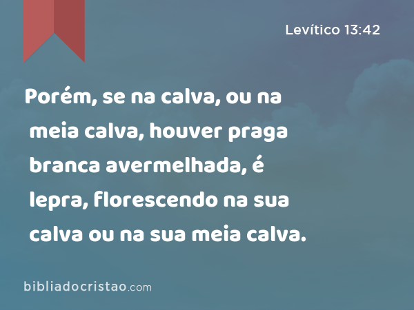 Porém, se na calva, ou na meia calva, houver praga branca avermelhada, é lepra, florescendo na sua calva ou na sua meia calva. - Levítico 13:42