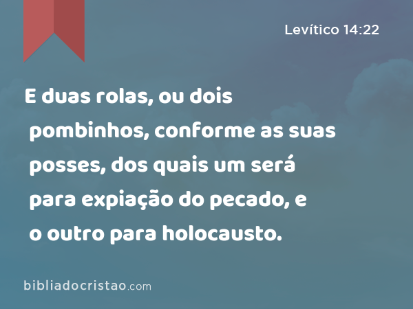 E duas rolas, ou dois pombinhos, conforme as suas posses, dos quais um será para expiação do pecado, e o outro para holocausto. - Levítico 14:22