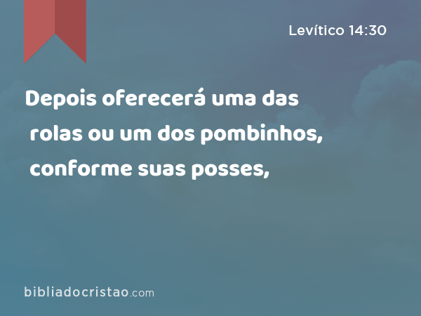 Depois oferecerá uma das rolas ou um dos pombinhos, conforme suas posses, - Levítico 14:30