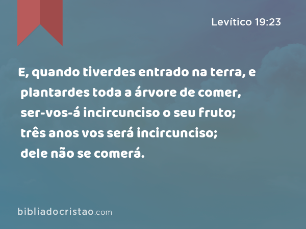 E, quando tiverdes entrado na terra, e plantardes toda a árvore de comer, ser-vos-á incircunciso o seu fruto; três anos vos será incircunciso; dele não se comerá. - Levítico 19:23