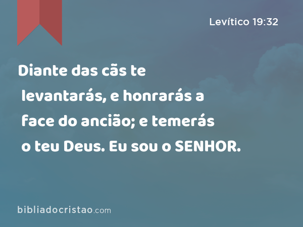 Diante das cãs te levantarás, e honrarás a face do ancião; e temerás o teu Deus. Eu sou o SENHOR. - Levítico 19:32