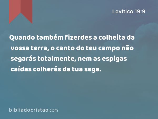 Quando também fizerdes a colheita da vossa terra, o canto do teu campo não segarás totalmente, nem as espigas caídas colherás da tua sega. - Levítico 19:9