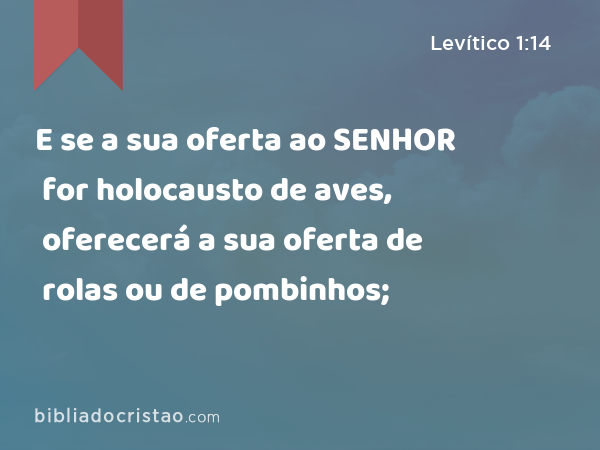 E se a sua oferta ao SENHOR for holocausto de aves, oferecerá a sua oferta de rolas ou de pombinhos; - Levítico 1:14