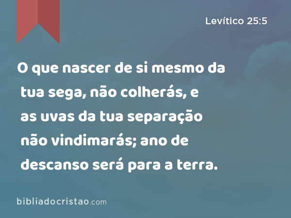 O que nascer de si mesmo da tua sega, não colherás, e as uvas da tua separação não vindimarás; ano de descanso será para a terra. - Levítico 25:5