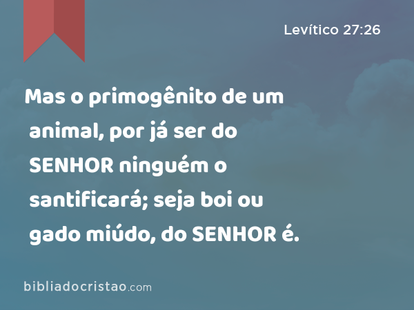 Mas o primogênito de um animal, por já ser do SENHOR ninguém o santificará; seja boi ou gado miúdo, do SENHOR é. - Levítico 27:26