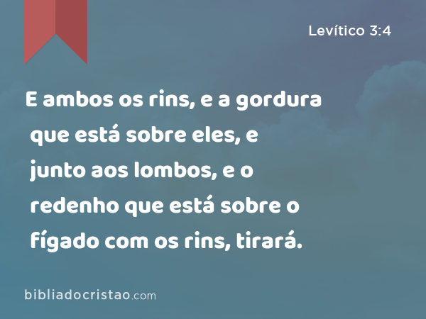 E ambos os rins, e a gordura que está sobre eles, e junto aos lombos, e o redenho que está sobre o fígado com os rins, tirará. - Levítico 3:4