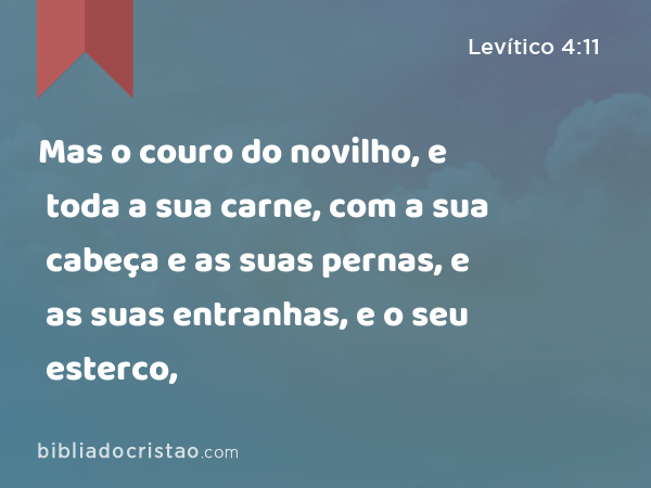 Mas o couro do novilho, e toda a sua carne, com a sua cabeça e as suas pernas, e as suas entranhas, e o seu esterco, - Levítico 4:11