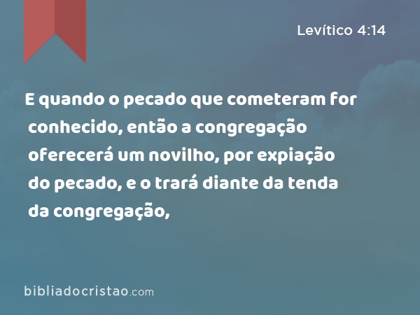 E quando o pecado que cometeram for conhecido, então a congregação oferecerá um novilho, por expiação do pecado, e o trará diante da tenda da congregação, - Levítico 4:14