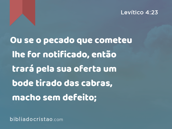 Ou se o pecado que cometeu lhe for notificado, então trará pela sua oferta um bode tirado das cabras, macho sem defeito; - Levítico 4:23