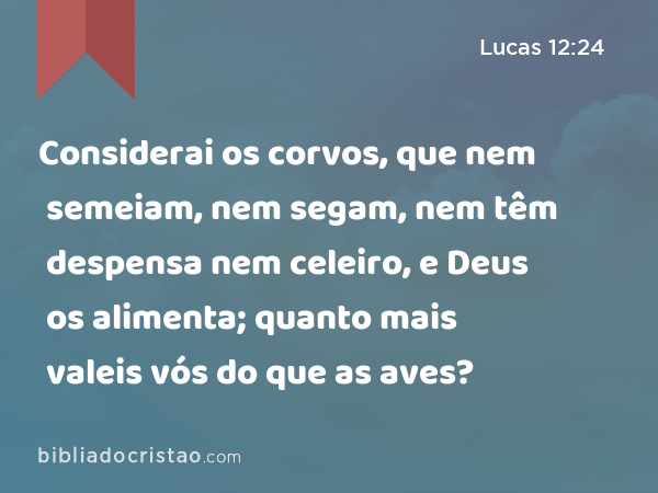 Considerai os corvos, que nem semeiam, nem segam, nem têm despensa nem celeiro, e Deus os alimenta; quanto mais valeis vós do que as aves? - Lucas 12:24