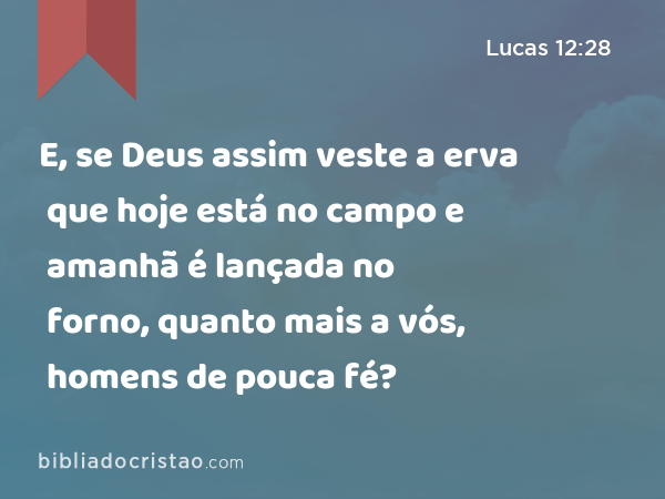 E, se Deus assim veste a erva que hoje está no campo e amanhã é lançada no forno, quanto mais a vós, homens de pouca fé? - Lucas 12:28