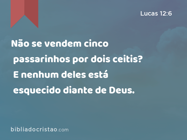 Não se vendem cinco passarinhos por dois ceitis? E nenhum deles está esquecido diante de Deus. - Lucas 12:6