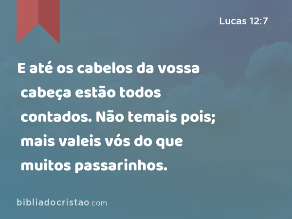 E até os cabelos da vossa cabeça estão todos contados. Não temais pois; mais valeis vós do que muitos passarinhos. - Lucas 12:7