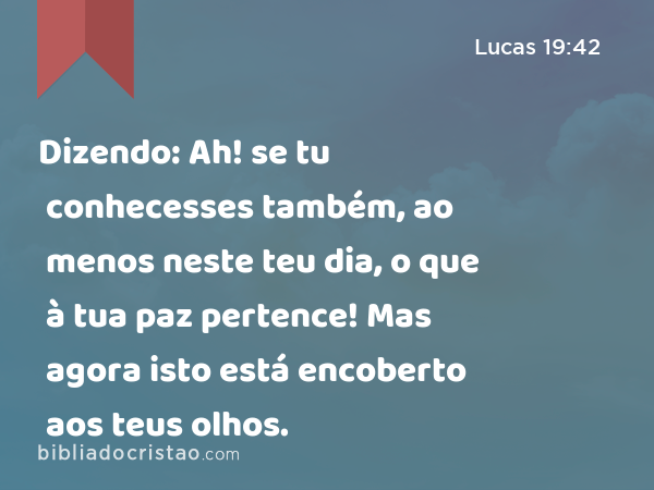 Dizendo: Ah! se tu conhecesses também, ao menos neste teu dia, o que à tua paz pertence! Mas agora isto está encoberto aos teus olhos. - Lucas 19:42