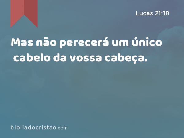 Mas não perecerá um único cabelo da vossa cabeça. - Lucas 21:18