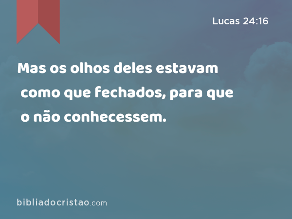 Mas os olhos deles estavam como que fechados, para que o não conhecessem. - Lucas 24:16