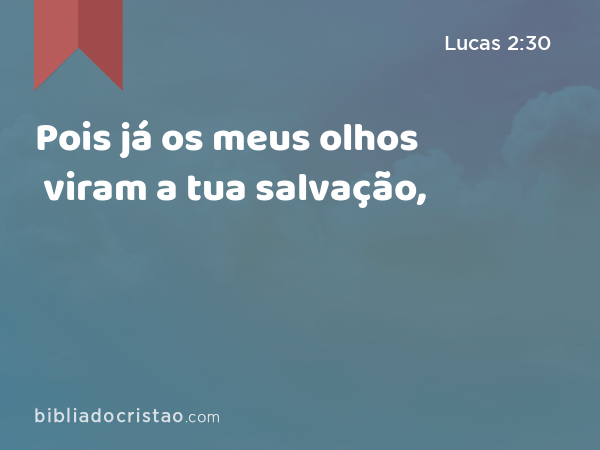 Pois já os meus olhos viram a tua salvação, - Lucas 2:30