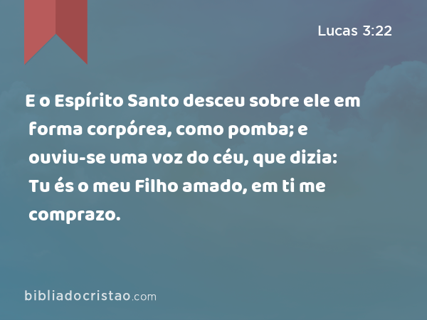 E o Espírito Santo desceu sobre ele em forma corpórea, como pomba; e ouviu-se uma voz do céu, que dizia: Tu és o meu Filho amado, em ti me comprazo. - Lucas 3:22