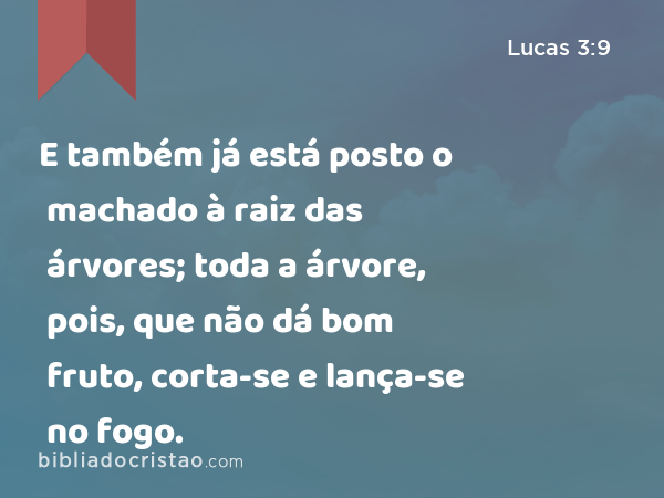 E também já está posto o machado à raiz das árvores; toda a árvore, pois, que não dá bom fruto, corta-se e lança-se no fogo. - Lucas 3:9