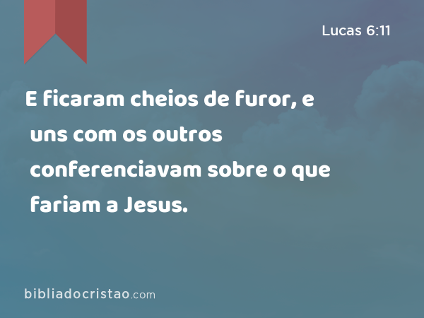 E ficaram cheios de furor, e uns com os outros conferenciavam sobre o que fariam a Jesus. - Lucas 6:11