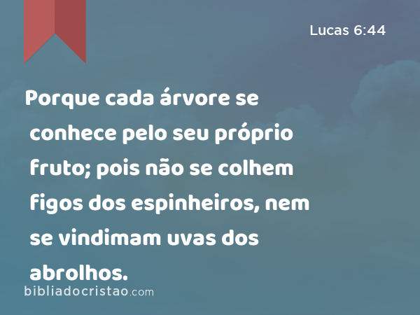 Porque cada árvore se conhece pelo seu próprio fruto; pois não se colhem figos dos espinheiros, nem se vindimam uvas dos abrolhos. - Lucas 6:44