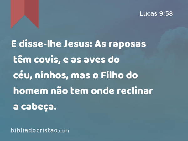 E disse-lhe Jesus: As raposas têm covis, e as aves do céu, ninhos, mas o Filho do homem não tem onde reclinar a cabeça. - Lucas 9:58