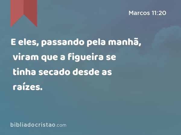 E eles, passando pela manhã, viram que a figueira se tinha secado desde as raízes. - Marcos 11:20