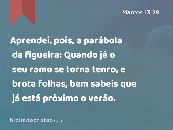 Aprendei, pois, a parábola da figueira: Quando já o seu ramo se torna tenro, e brota folhas, bem sabeis que já está próximo o verão. - Marcos 13:28