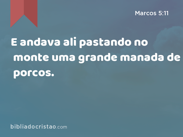 E andava ali pastando no monte uma grande manada de porcos. - Marcos 5:11