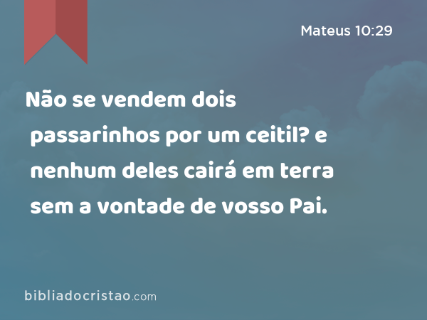 Não se vendem dois passarinhos por um ceitil? e nenhum deles cairá em terra sem a vontade de vosso Pai. - Mateus 10:29