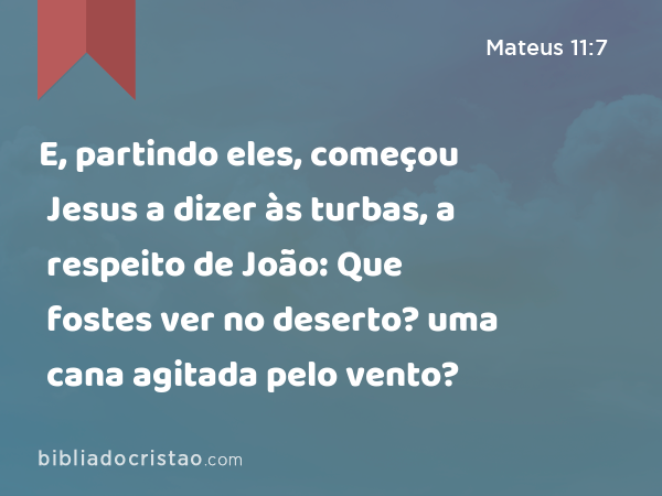 E, partindo eles, começou Jesus a dizer às turbas, a respeito de João: Que fostes ver no deserto? uma cana agitada pelo vento? - Mateus 11:7