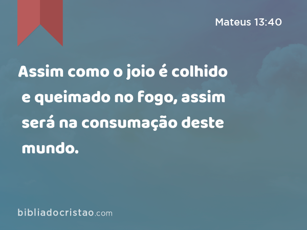 Assim como o joio é colhido e queimado no fogo, assim será na consumação deste mundo. - Mateus 13:40