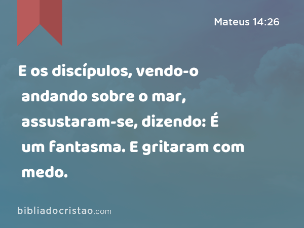 E os discípulos, vendo-o andando sobre o mar, assustaram-se, dizendo: É um fantasma. E gritaram com medo. - Mateus 14:26