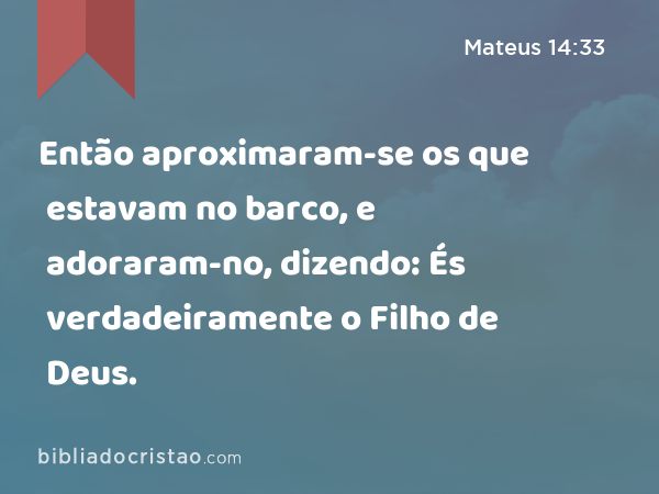 Então aproximaram-se os que estavam no barco, e adoraram-no, dizendo: És verdadeiramente o Filho de Deus. - Mateus 14:33