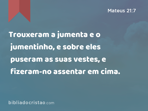 Trouxeram a jumenta e o jumentinho, e sobre eles puseram as suas vestes, e fizeram-no assentar em cima. - Mateus 21:7