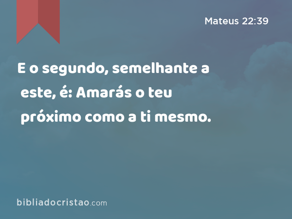 E o segundo, semelhante a este, é: Amarás o teu próximo como a ti mesmo. - Mateus 22:39