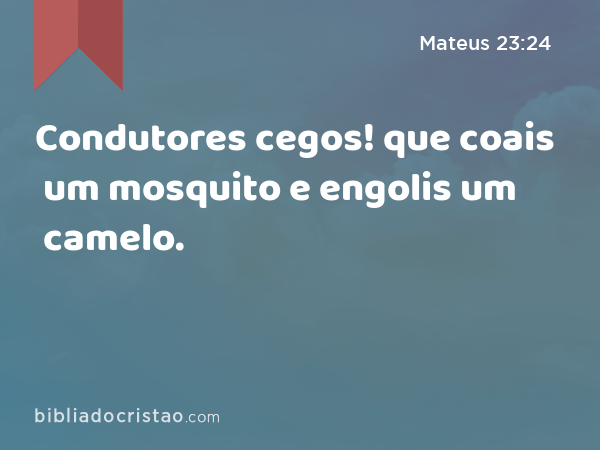 Condutores cegos! que coais um mosquito e engolis um camelo. - Mateus 23:24