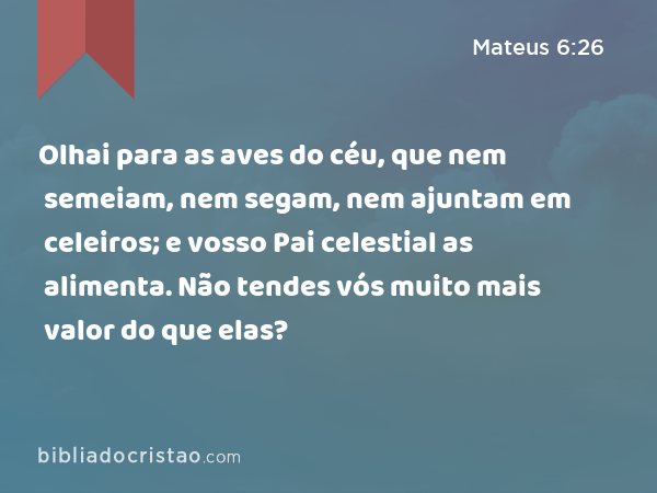 Olhai para as aves do céu, que nem semeiam, nem segam, nem ajuntam em celeiros; e vosso Pai celestial as alimenta. Não tendes vós muito mais valor do que elas? - Mateus 6:26