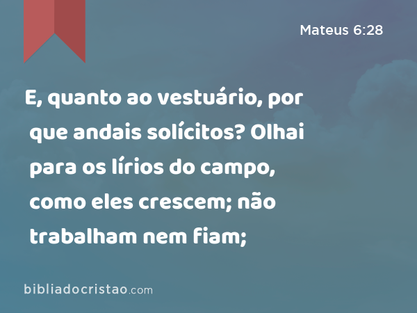 E, quanto ao vestuário, por que andais solícitos? Olhai para os lírios do campo, como eles crescem; não trabalham nem fiam; - Mateus 6:28