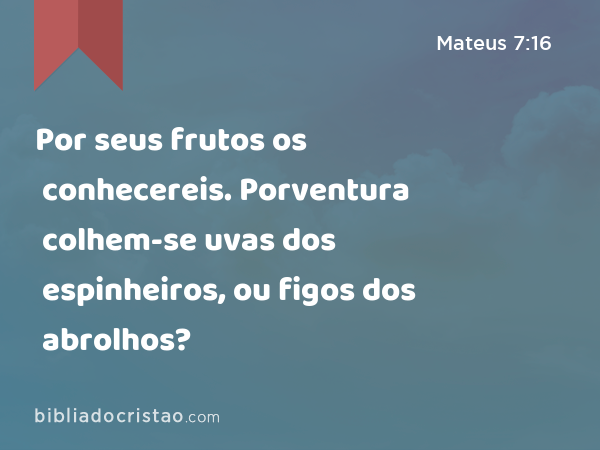 Por seus frutos os conhecereis. Porventura colhem-se uvas dos espinheiros, ou figos dos abrolhos? - Mateus 7:16