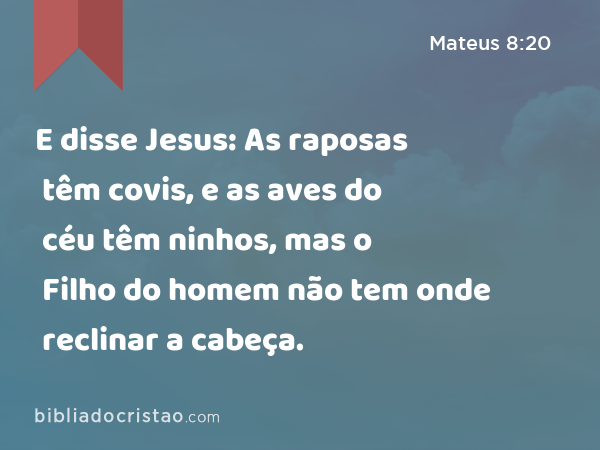 E disse Jesus: As raposas têm covis, e as aves do céu têm ninhos, mas o Filho do homem não tem onde reclinar a cabeça. - Mateus 8:20