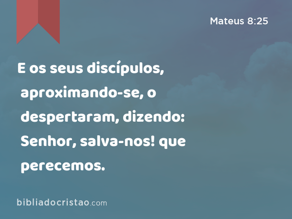 E os seus discípulos, aproximando-se, o despertaram, dizendo: Senhor, salva-nos! que perecemos. - Mateus 8:25