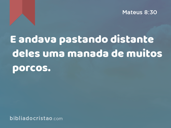 E andava pastando distante deles uma manada de muitos porcos. - Mateus 8:30