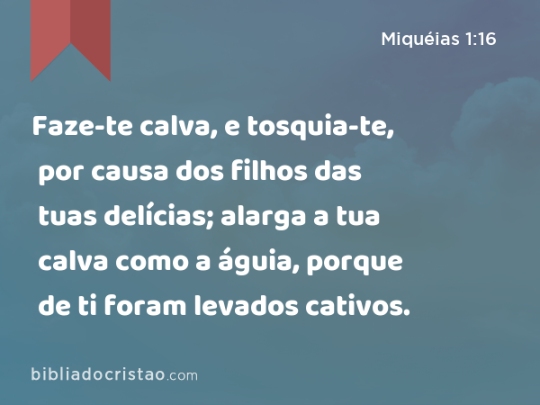 Faze-te calva, e tosquia-te, por causa dos filhos das tuas delícias; alarga a tua calva como a águia, porque de ti foram levados cativos. - Miquéias 1:16