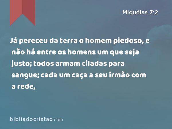 Já pereceu da terra o homem piedoso, e não há entre os homens um que seja justo; todos armam ciladas para sangue; cada um caça a seu irmão com a rede, - Miquéias 7:2