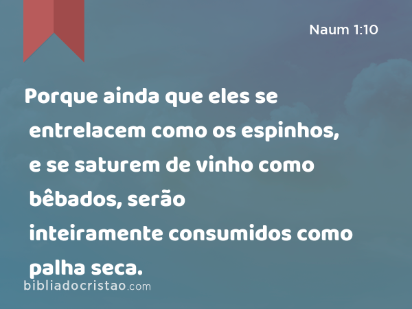 Porque ainda que eles se entrelacem como os espinhos, e se saturem de vinho como bêbados, serão inteiramente consumidos como palha seca. - Naum 1:10